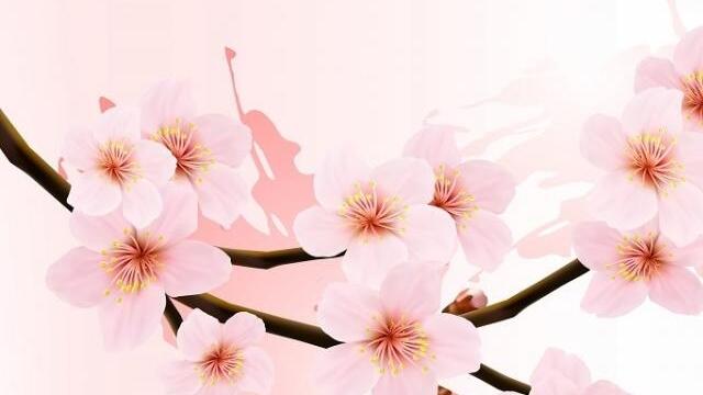 桜