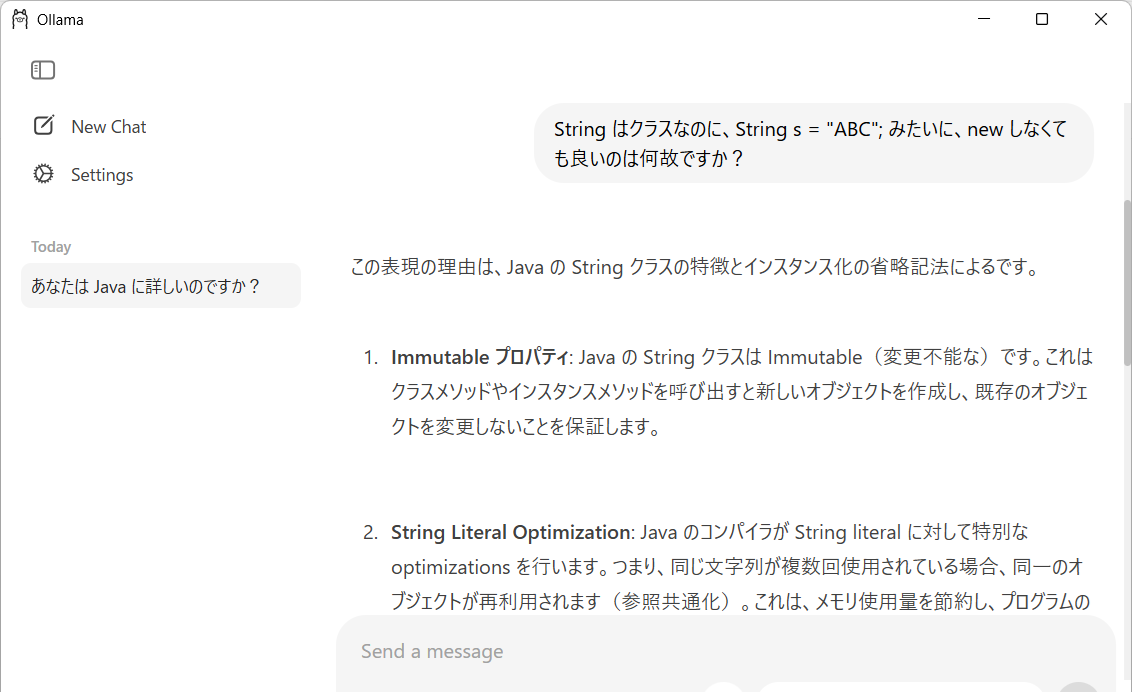 ローカルLLMでJava言語に関する質問